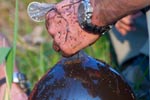 Survival Training